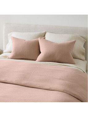 West Elm Dreamy Guaze Cotton Duvet Cover & Shams Full/Queen